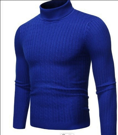 Turtleneck Long Sleeve Casual Sweater