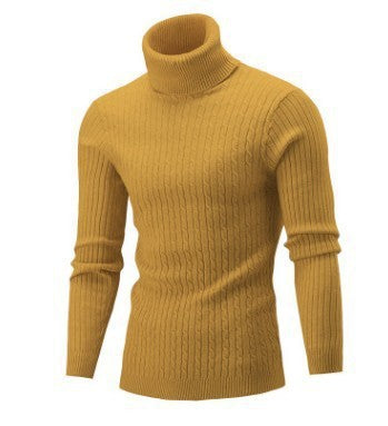 Turtleneck Long Sleeve Casual Sweater