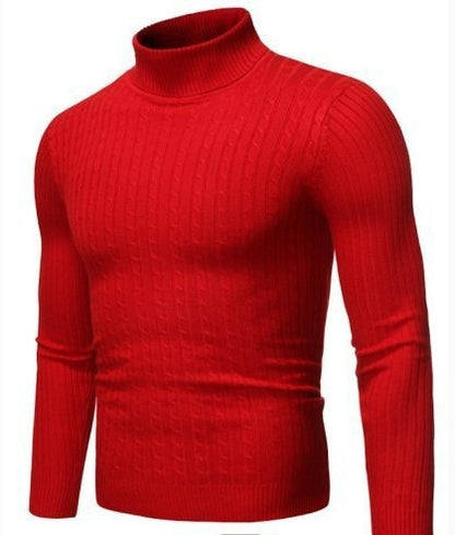 Turtleneck Long Sleeve Casual Sweater