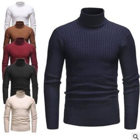 Cable-knit Turtleneck  Sweater