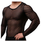 Mesh long sleeve