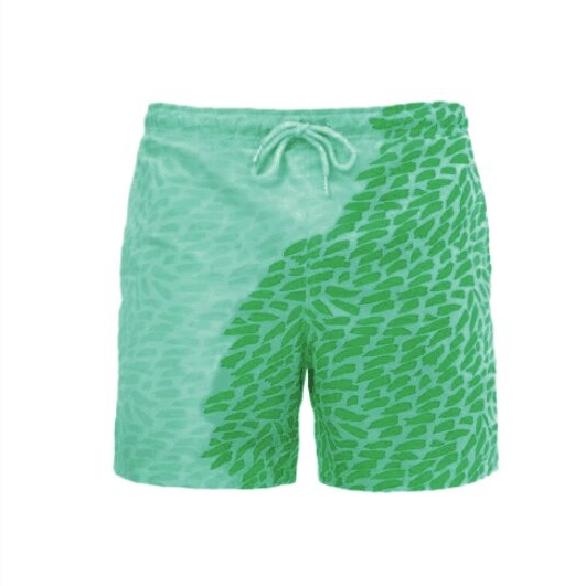 Summer Beach Shorts