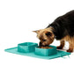 Silicone folding pet bowl