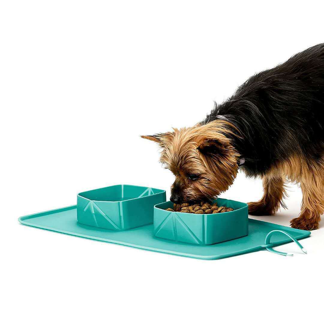 Silicone folding pet bowl