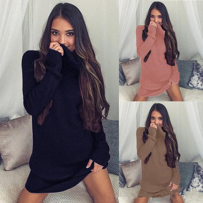 turtlene shirt knit dress