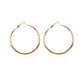 Alloy ring earrings