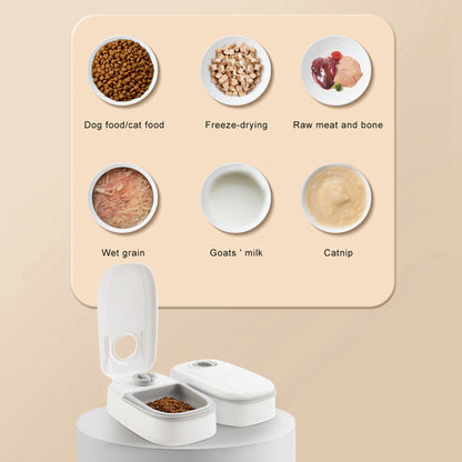 Smart Food Dispenser For Pets