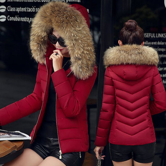 Cotton padded jacket