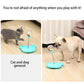 Playing Training Dispenser Bowl