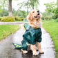 Pet Raincoat