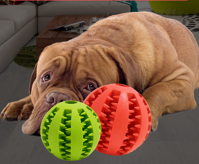 Pets Bite Resistant Ball