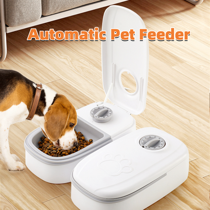 Smart Food Dispenser For Pets