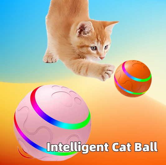 猫の邪悪なボールのおもちゃ